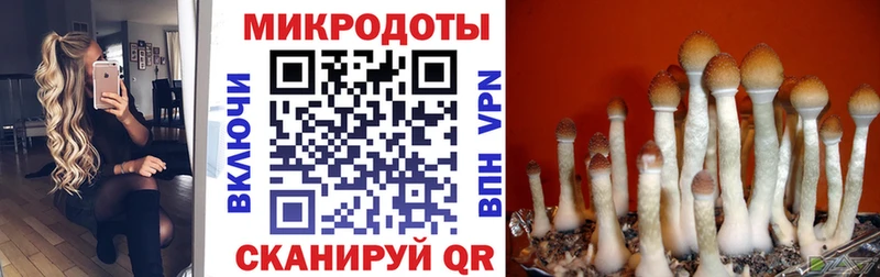 Галлюциногенные грибы Magic Shrooms  Сельцо 